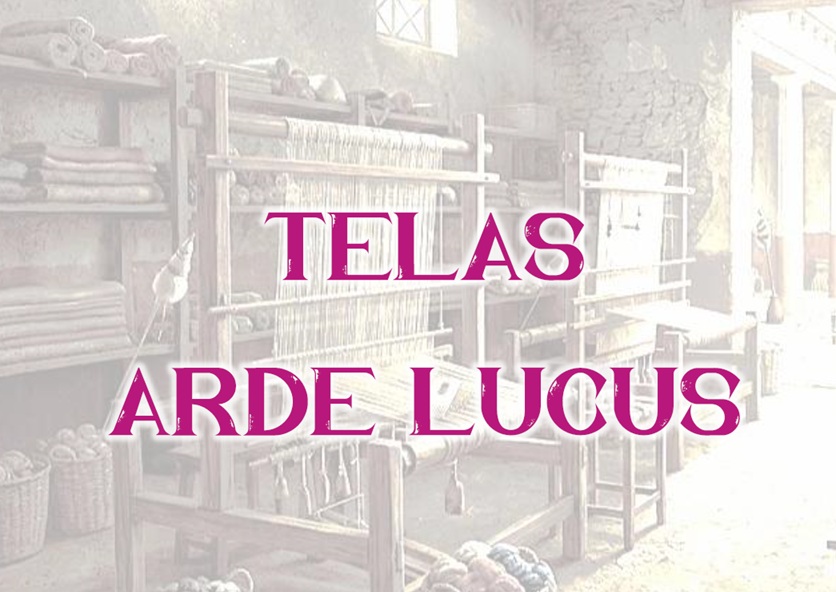 ¡Pide las telas para el desfile de colegios del Arde Lucus!