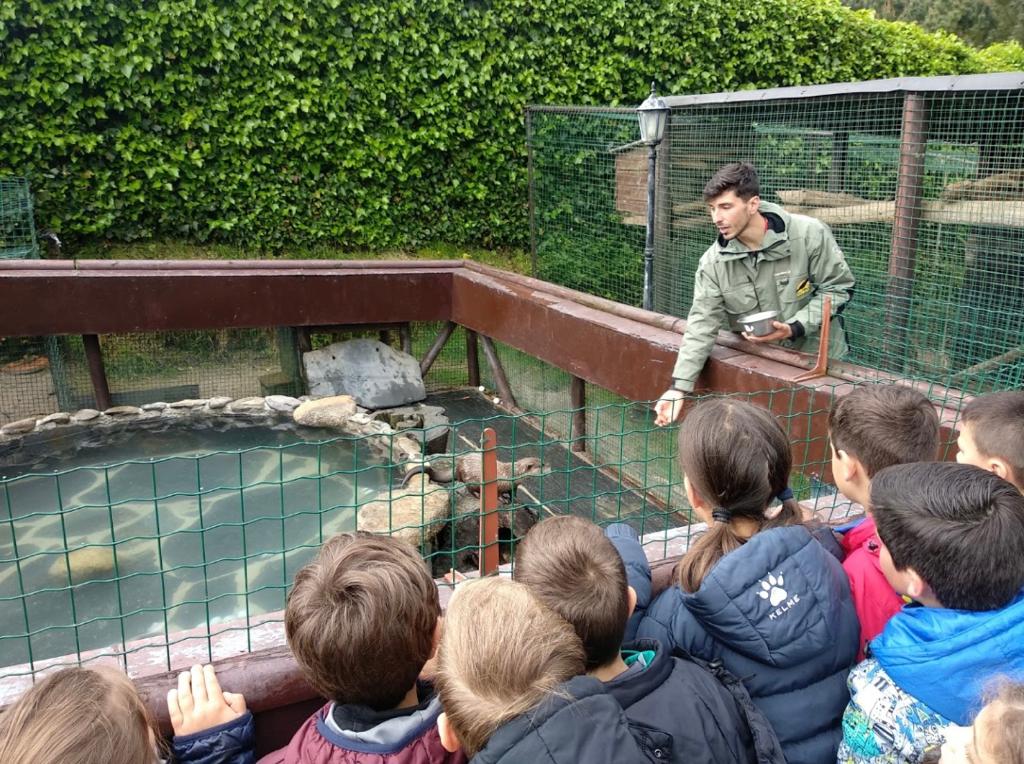 CORAX, es un Centro Educativo de la Fauna autorizado por la Xunta de Galicia que promueve actividades lúdico-formativas para todos los públicos.