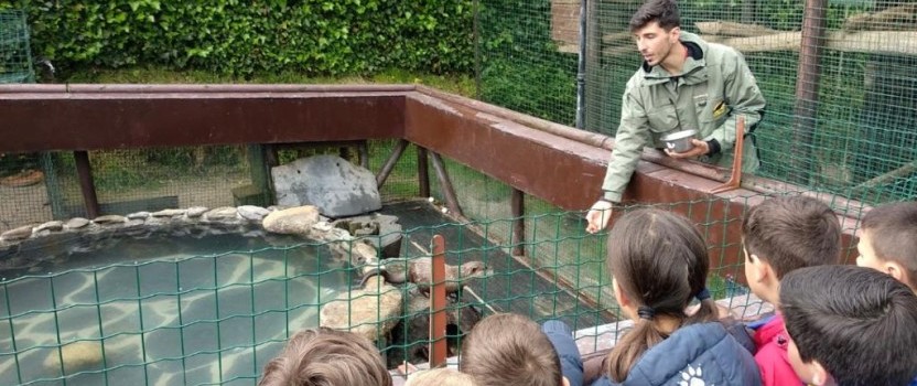 CORAX, es un Centro Educativo de la Fauna autorizado por la Xunta de Galicia que promueve actividades lúdico-formativas para todos los públicos.