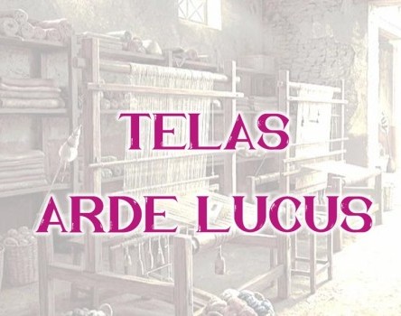 ¡Pide las telas para el desfile de colegios del Arde Lucus!