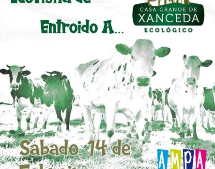 VISITA Á CASA GRANDE DE XANCEDA