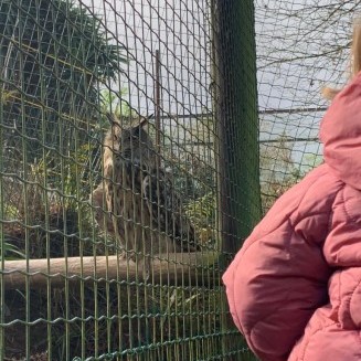 VISITA A CORAX FAUNA 2023