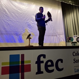 Cetrería 2025