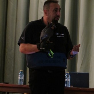 Cetrería 2025