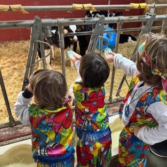 Visita granxa de Xanceda