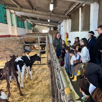 Visita granxa de Xanceda