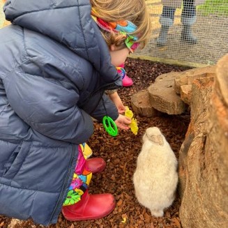 Visita granxa de Xanceda