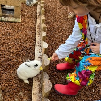 Visita granxa de Xanceda