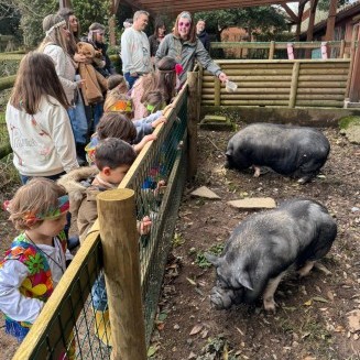 Visita granxa de Xanceda