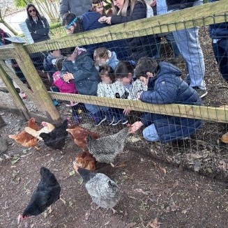 Visita granxa de Xanceda