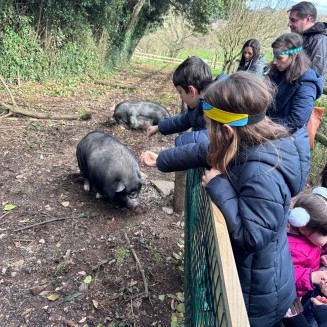 Visita granxa de Xanceda