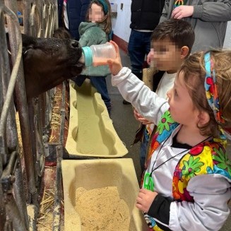 Visita granxa de Xanceda