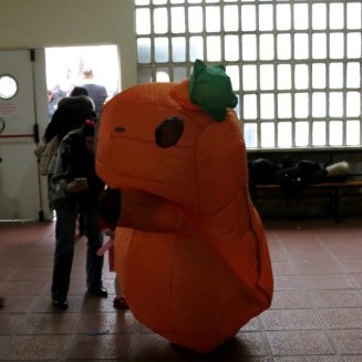 Fiesta Carnaval 2026